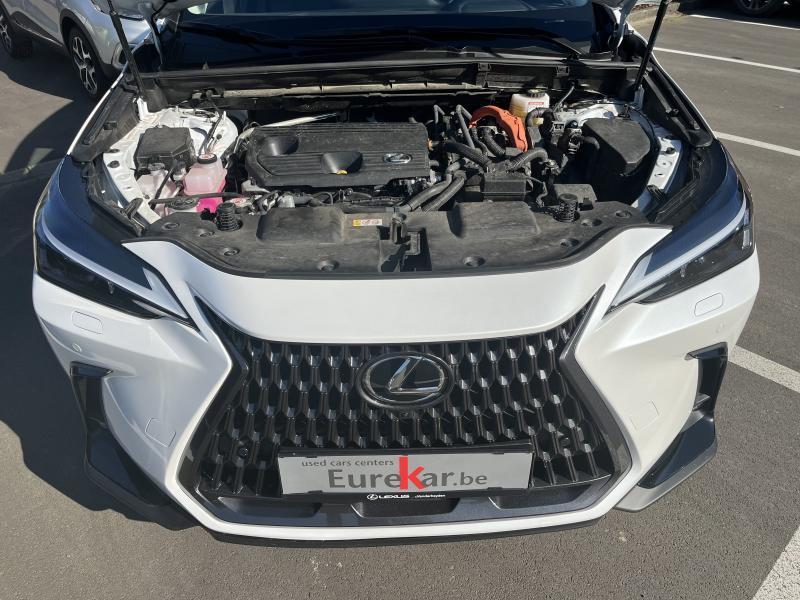 Lexus NX 350h 2.5 HYBRID - photo 19